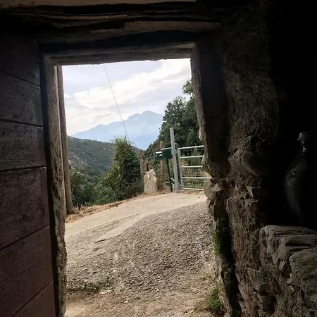 ,a Cantinella, Cave A Fromage Au Centre Corse Οργανωμένο κάμπινγκ *